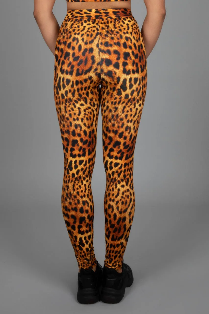 Hear Me Roar! High Waist Leggings, Leopard