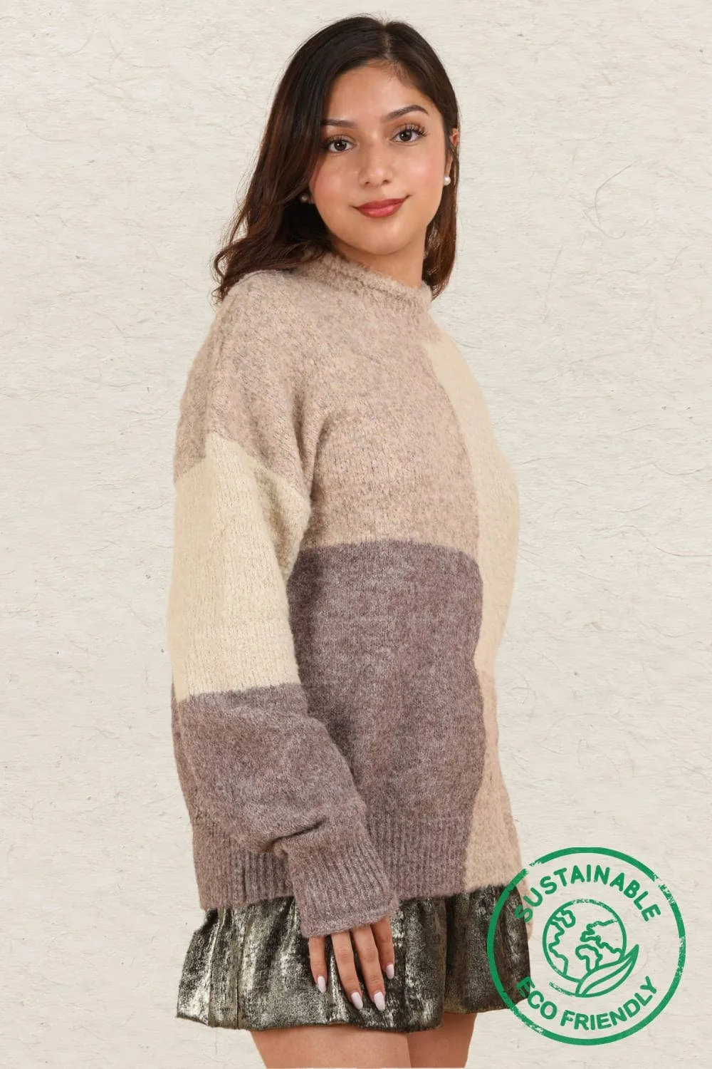 Oversized Color Block Sweater Top